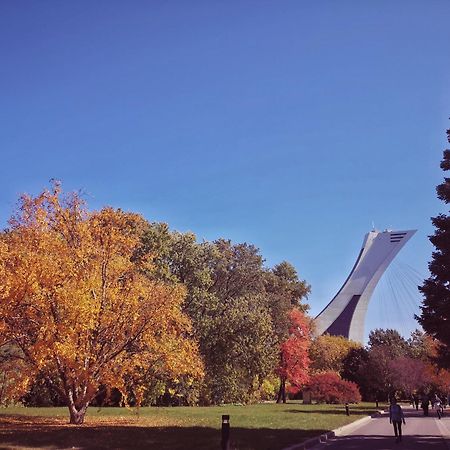 Homa Homestay Hotel By Olympic Stadium Montreal Auberge-Hostel Exterior photo